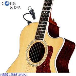 Seagull シーガル Performer CW Mini Jumbo Flame Maple High