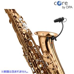 Kaerntner(ケルントナー)アルトサックス KAL/AQ アンティーク