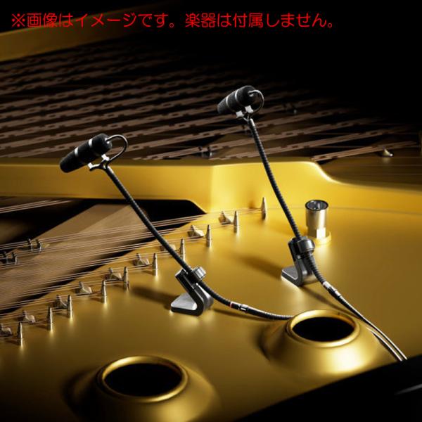 DPA MICROPHONES 4099-DP-1-101-P ピアノセット 安心の日本正規品！ 超...