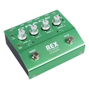 TWO NOTES REVOLT BASS オールアナログ・アンプ・キャビネット