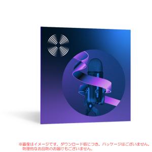 IZOTOPE STANDARD RX 10 ダウンロード版