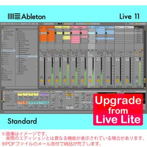 ABLETON LIVE 11 STANDARD / UPG FROM LIVE LITE ダウンロード版