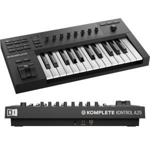 NATIVE INSTRUMENTS KOMPLETE KONTROL A25｜sunmuse