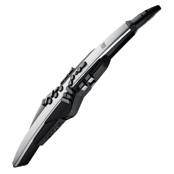 ROLAND Aerophone Pro AE-30 ローランド エアロフォンプロ