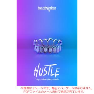 UJAM BEATMAKER HUSTLE2 ダウンロード版 安心の日本正規品！｜sunmuse