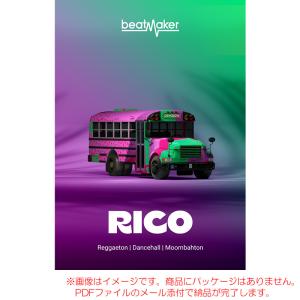 UJAM BEATMAKER RICO ダウンロード版 安心の日本正規品！｜sunmuse