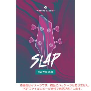 UJAM VIRTUAL BASSIST SLAP ダウンロード版 安心の日本正規品！