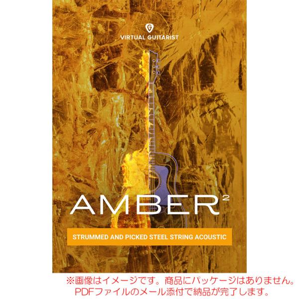 UJAM VIRTUAL GUITARIST AMBER 2 ダウンロード版 安心の日本正規品！【特...