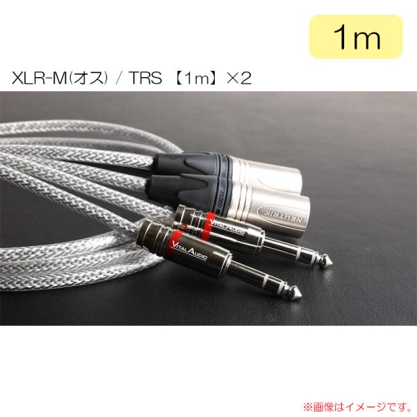 VITAL AUDIO VAB-N Pair 1.0m 3MX / 3P(VBN P-1M3P) X...