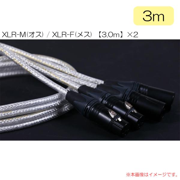 VITAL AUDIO VAB PAIR-3.0m 3MX / 3FX VBP3MF 安心の日本正規...