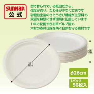 さとうきびモールド プレート 26cm 50枚...の詳細画像1