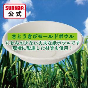 さとうきびモールド ボウル 460ml 50個...の詳細画像3