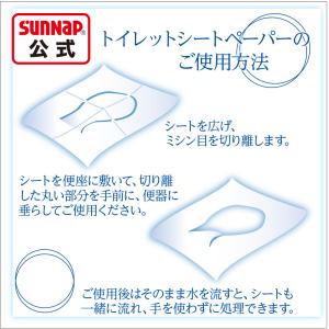 箱のまま使える トイレシート ペーパー 100...の詳細画像4