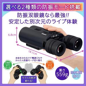 残り在庫わずか ビクセン 14倍防振双眼鏡 4...の詳細画像1