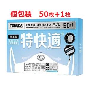 ポスト投函 TERUKA テルカ マスク 165mm×90mm カケン認証済み 50＋1枚入り 個包装 6ｍｍ幅の平ゴム 男女兼用 耳が痛くなりにくい