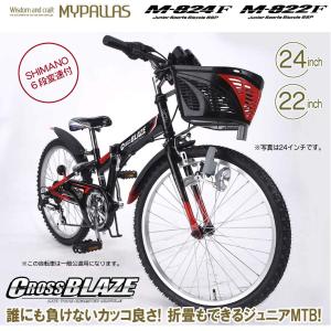 マイパラス 子供用自転車 22インチ M-822F ブルー 折りたたみ