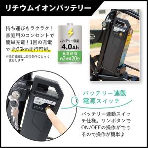 FIELD CHAMP 電動アシスト 自転車 ...の詳細画像2