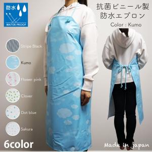 【メール便OK】抗菌 ビニール 防水 エプロン ...の商品画像