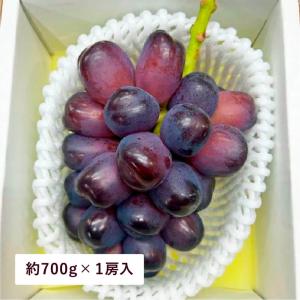 ぶどう 富士の輝き 山梨産 大房 特選 1房 約800g 敬老の日 黒シャイン