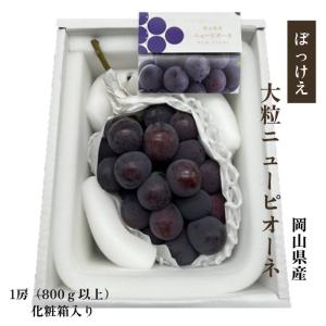 【お中元】ぼっけえニューピオーネ 1房800g以上 1房入 秀品 大粒 岡山県産 化粧箱入 贈答用 ギフト 果物 フルーツ ぶどう サニーフルーツ岡山 送料無料