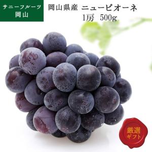 岡山県産 ニューピオーネ 約500g 1房入 温室 化粧箱入 贈答用 ギフト お中元 父の日 果物 フルーツ ぶどう サニーフルーツ岡山
