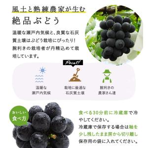 岡山県産 ニューピオーネ 約500g 1房入 ...の詳細画像5