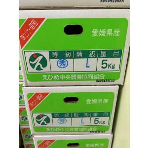 愛媛県中島産 せとか 約5kg 青秀 2L〜L...の詳細画像2