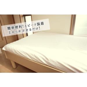 爆買 ワンタッチシーツ シングル ムアツ布団 ...の詳細画像5