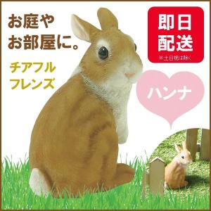 チアフルフレンズ  ウサギのハンナ