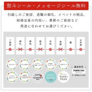 プチギフト 退職 「熨斗シール・メッセージシー...の詳細画像3