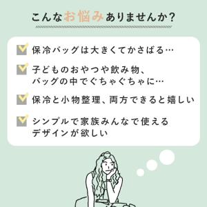 メール便は送料無料 保冷ポーチ ポーチ 保冷ミ...の詳細画像2