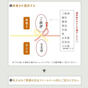 ご挨拶 粗品 プチギフト 【熨斗付き】 REP...の詳細画像4