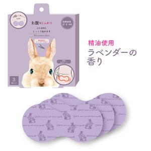 お腹カイロ 3個入り カイロ 使い捨てカイロ ...の詳細画像5