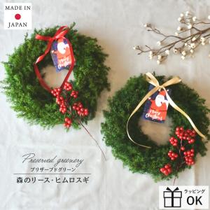 クリスマスリース クリスマス スワッグ リース ヒムロスギ サンキライ 赤い実 森のリース L フォレストグリーン 25cm