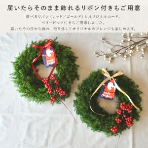 クリスマスリース クリスマス スワッグ リース...の詳細画像4