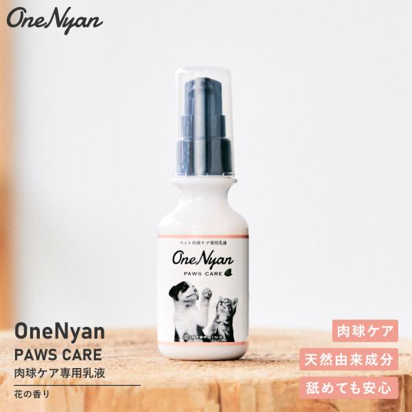 【ブランド累計60万本突破】 OneNyan パウズケア 50g 0206-ONP050 ペット 肉...