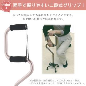 【レビュープレゼント中】杖 おしゃれ らくらく...の詳細画像1