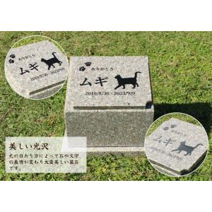 ペット墓石 納骨 選べるデザイン 天然御影石 ...の詳細画像3