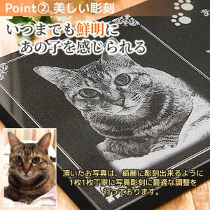 ペット 墓石 メモリアルプレート 写真入り 選...の詳細画像5