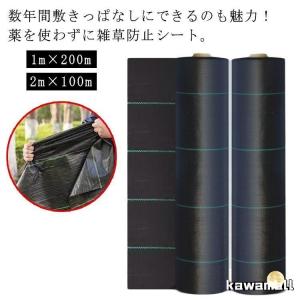 草 草除け 2m×100m 除草シート 草よけ 芝生 庭 農用シート 雑草 防草シート 人工芝 1m×200m 駐車場 防草シート 雑草防止 雑草対策