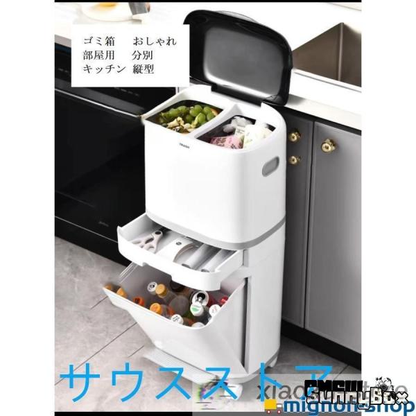 ゴミ箱 分別 キッチン 縦型 スリム フタ付き 2段 キャスター付き 部屋用 40L