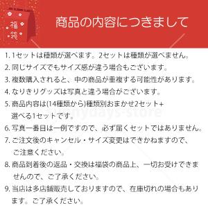 クリスマス コスプレ 子供 福袋 2026 キ...の詳細画像1