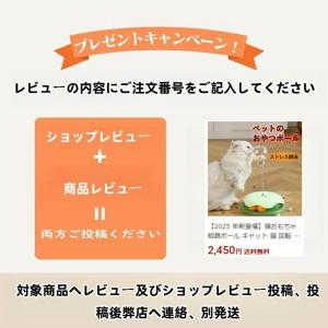 給餌器 猫 自動給餌器 猫 犬 自動餌やり機 ...の詳細画像2
