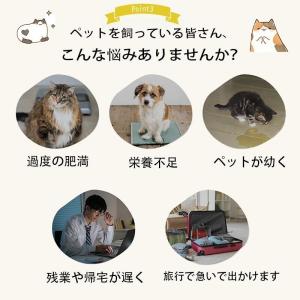 給餌器 猫 自動給餌器 猫 犬 自動餌やり機 ...の詳細画像5