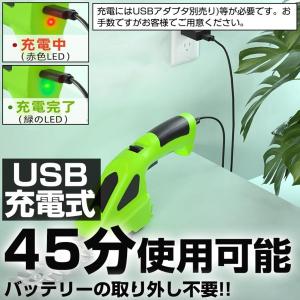 ヘッジトリマー 充電式 軽量 2WAY 芝刈り...の詳細画像3