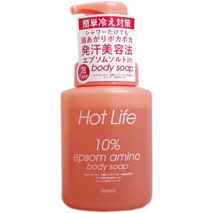 石鹸 石けん ボディソープ ホットライフ エプソ...の商品画像