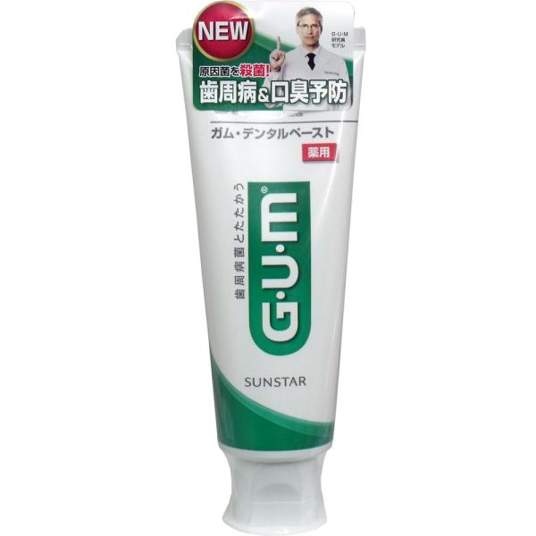 歯磨き粉 歯周病 GUM ガム・デンタルペースト薬用 スタンディング 120g (K)