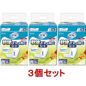 アテント 【ケース販売!!】＜業務用＞アテント Sケア 軟便安心パッド