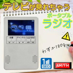 ラジオ 小型 携帯 ワンセグラジオ USB 電池 AM FM ワンセグテレビ テレビ機能 3インチ (B)｜sunnyforest