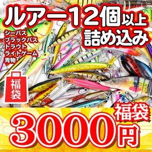超お得！ルアー福袋　サニールアーズで人気のルアーを詰め込みました！　福袋　釣り　ルアー　釣具　2020年　2021年　【送料無料】